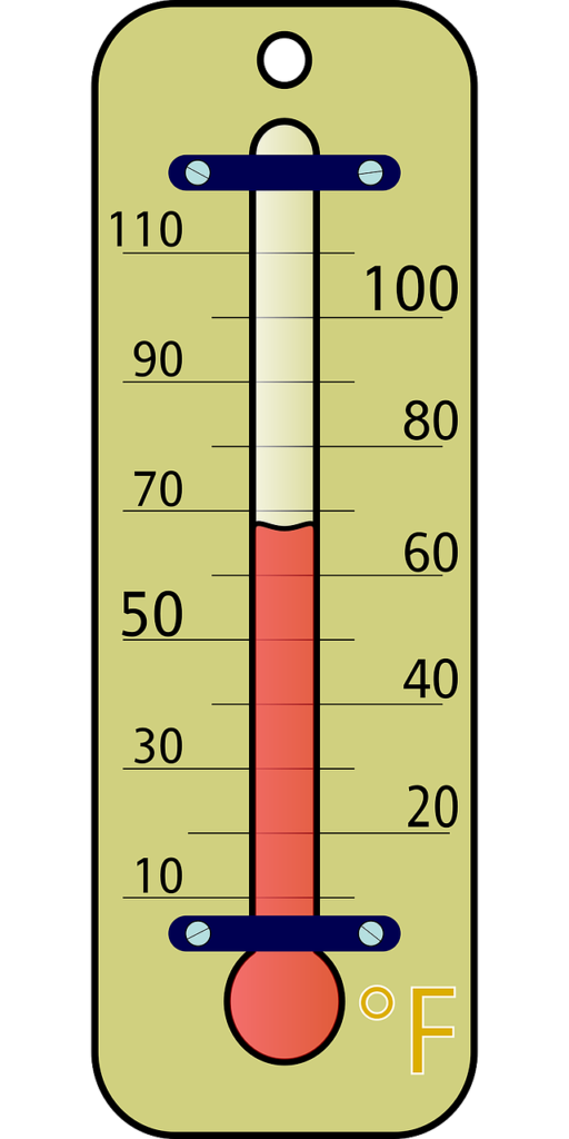 thermometer food temperature