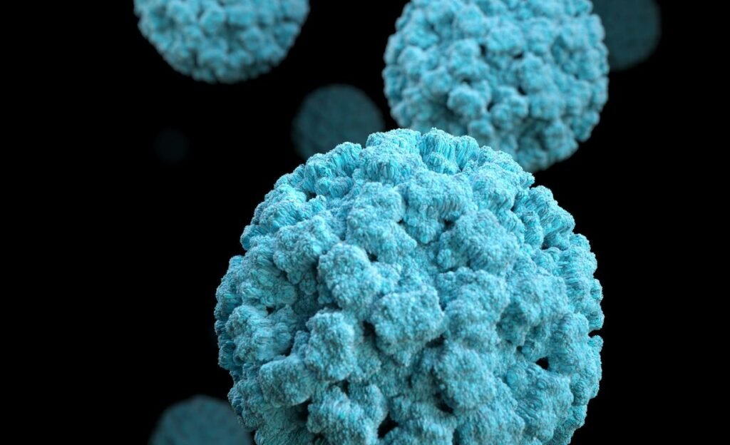 norovirus